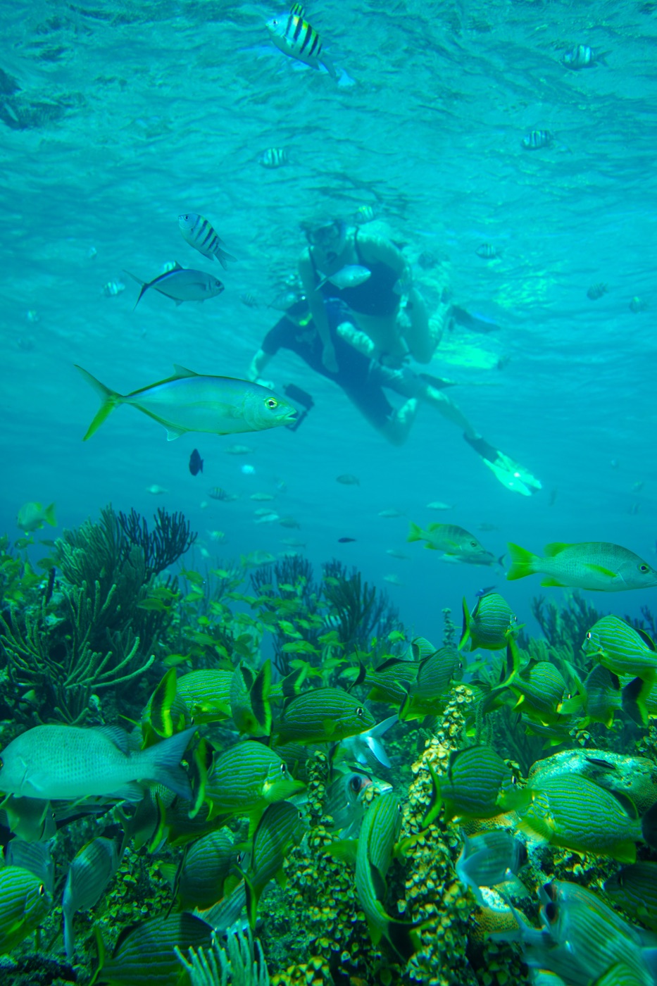 Grand Cayman coastal lifestyle detail