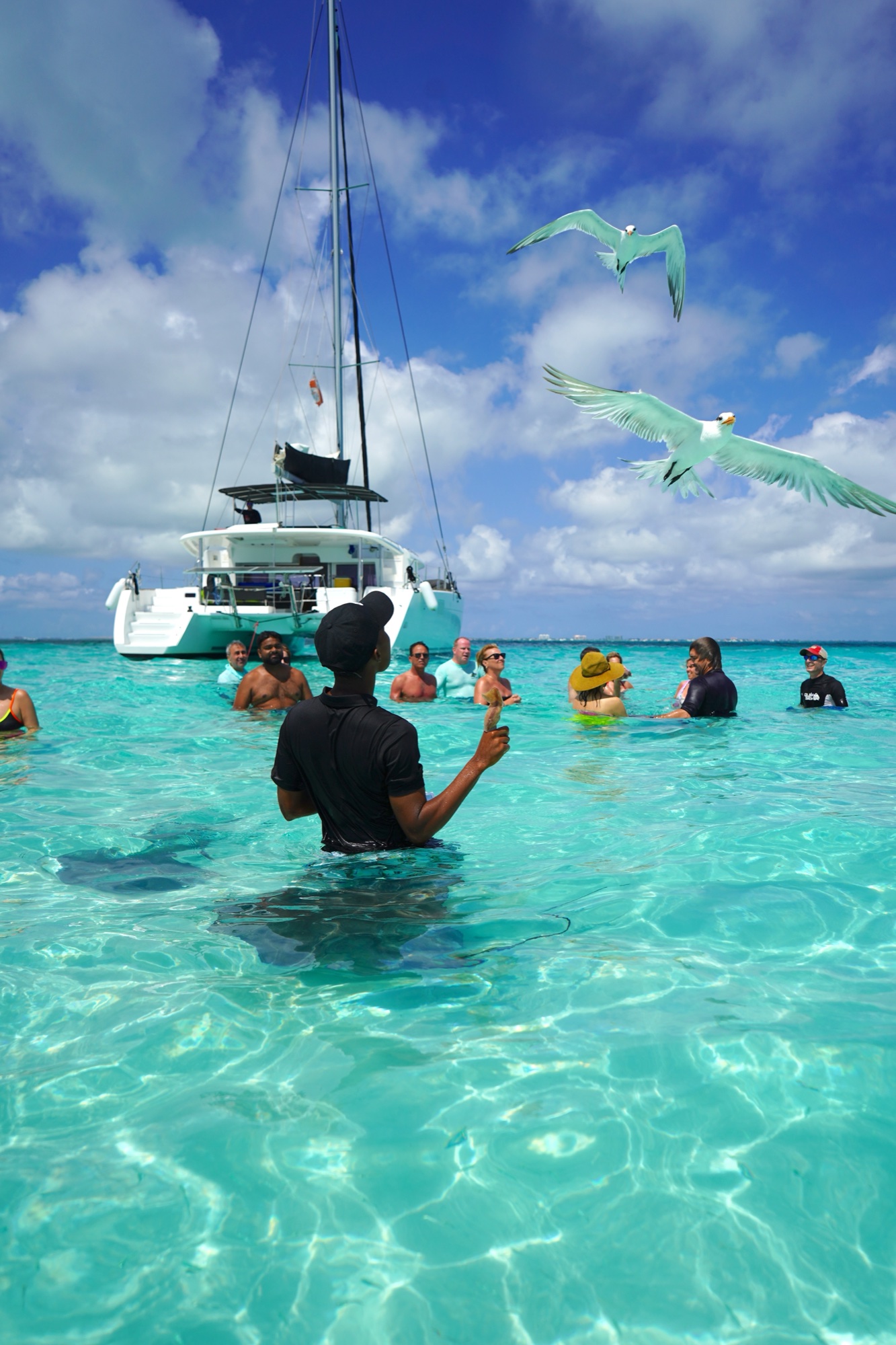 Guests snorkeling with birds overhead, Grand Cayman charter