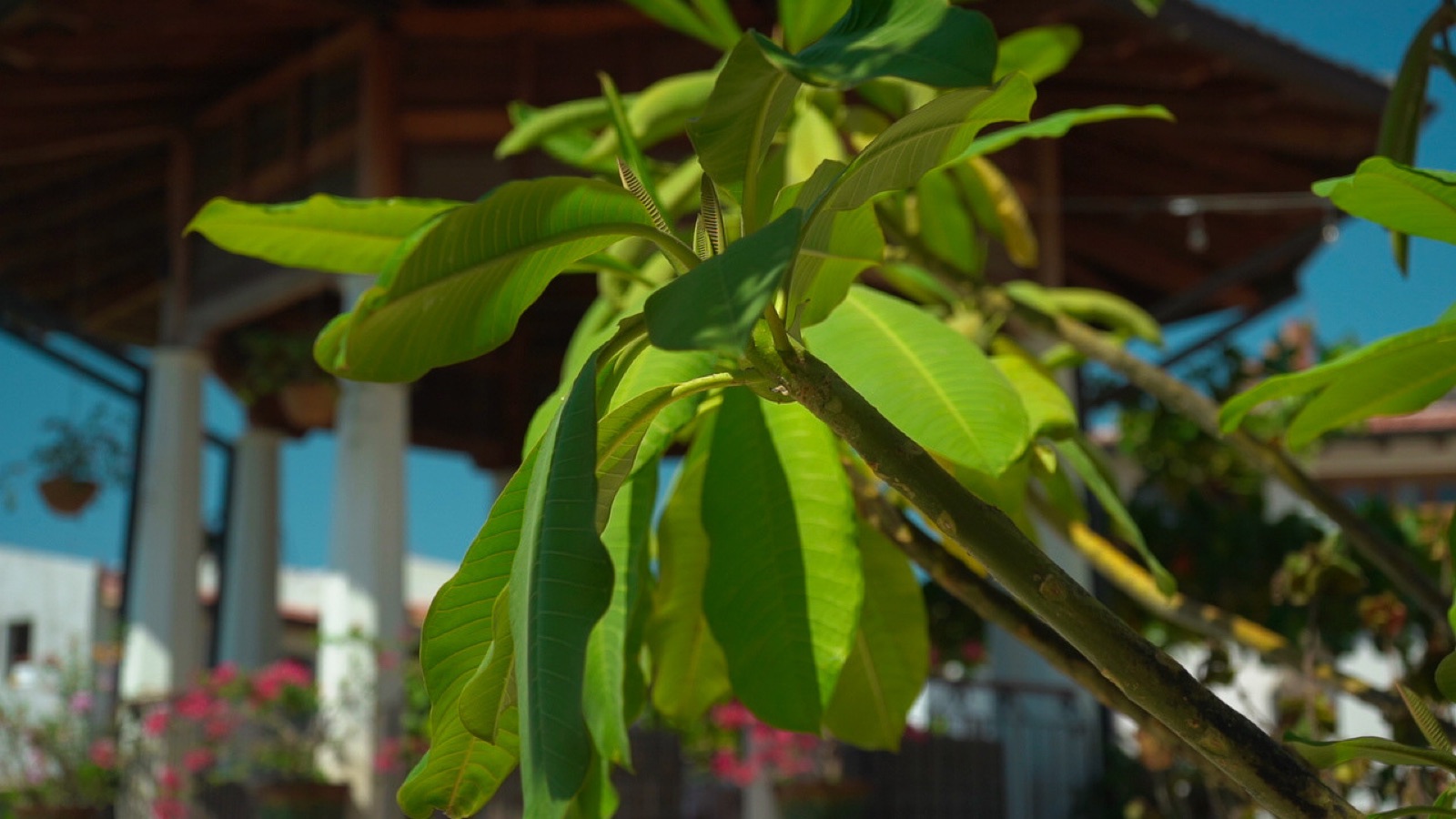 Las Catalinas resort village, Costa Rica