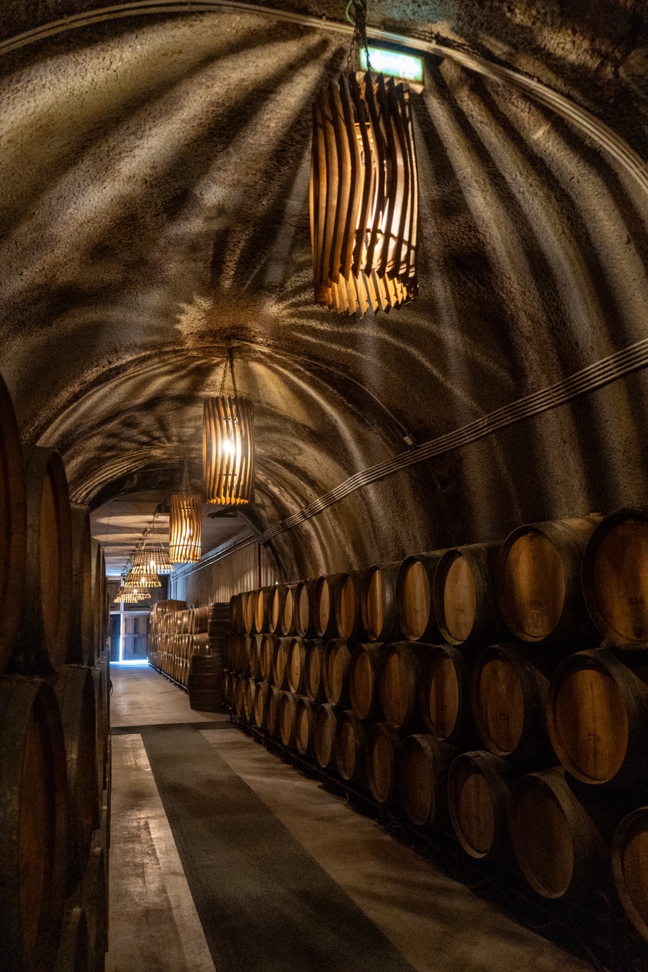 Wine cellar corridor lined with oak barrels, Quinta do Tedo, Douro Valley, Portugal