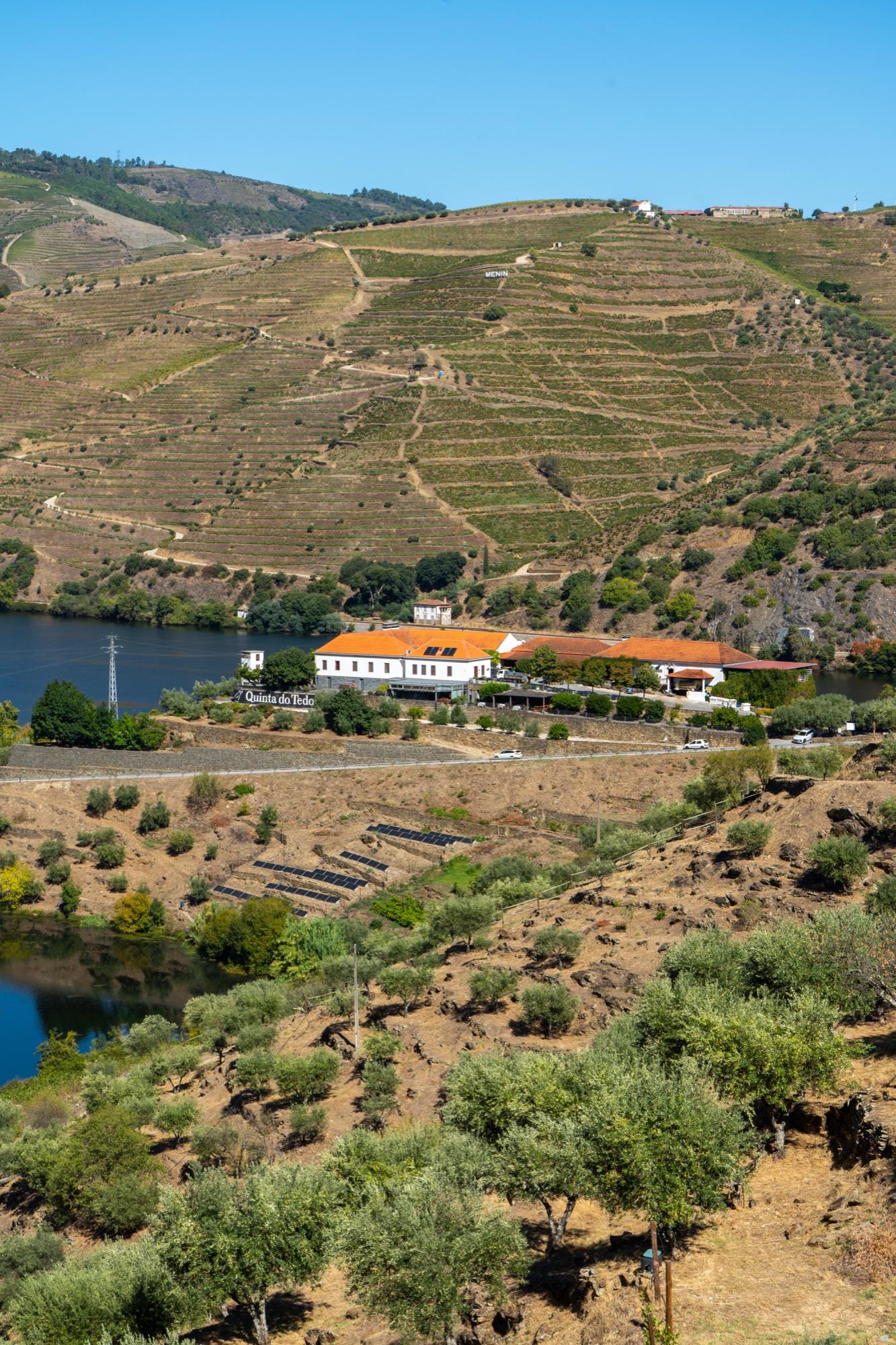 Aerial view of the Quinta do Tedo estate on the Douro River, Douro Valley, Portugal